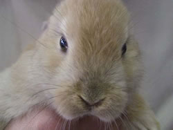 Un poquito de porfavor, &iexcl;por favor!